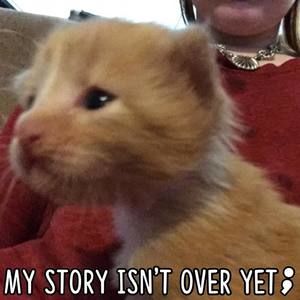 Meet your Posher, Aimee